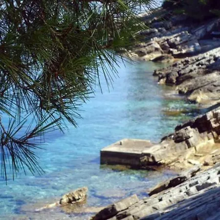 Mediterranean Vacation Feriehus Blato (Korcula)